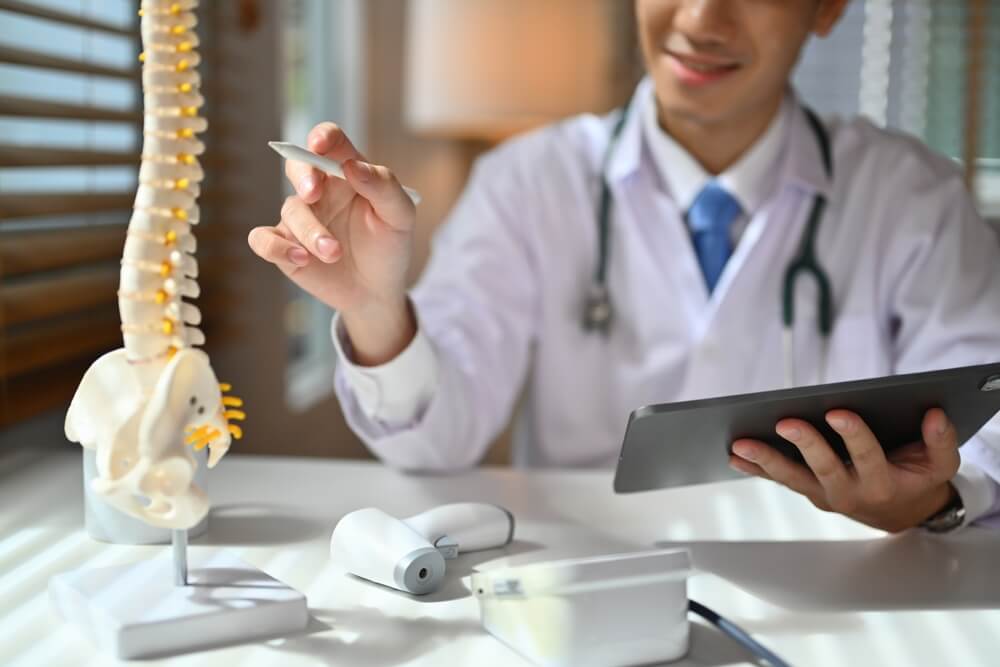 Chiropractor examining a model of a human spine